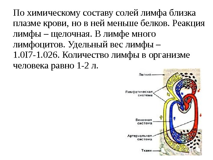 По химическому составу солей лимфа близка плазме крови, но в ней меньше белков. Реакция