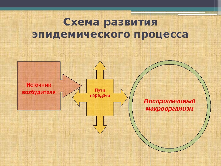 Схема развития эпидемического процесса Источник возбудителя Пути передачи Восприимчивый макроорганизм    