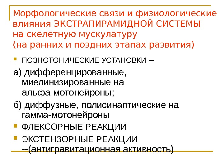 Морфологические связи и физиологические влияния ЭКСТРАПИРАМИДНОЙ СИСТЕМЫ на скелетную мускулатуру (на ранних и поздних