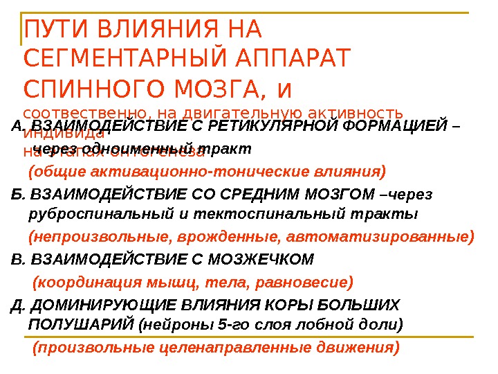 ПУТИ ВЛИЯНИЯ НА СЕГМЕНТАРНЫЙ АППАРАТ СПИННОГО МОЗГА,  и соотвественно, на двигательную активность индивида