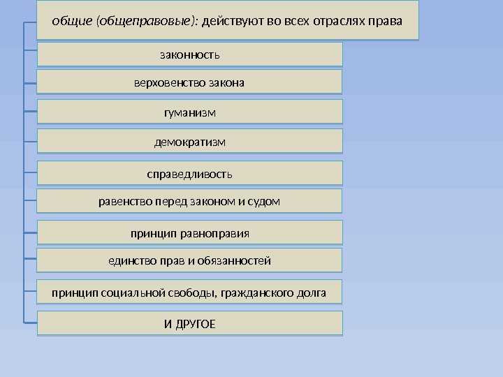 законность верховенство закона гуманизм демократизм справедливость равенство перед законом и судом принцип равноправия единство