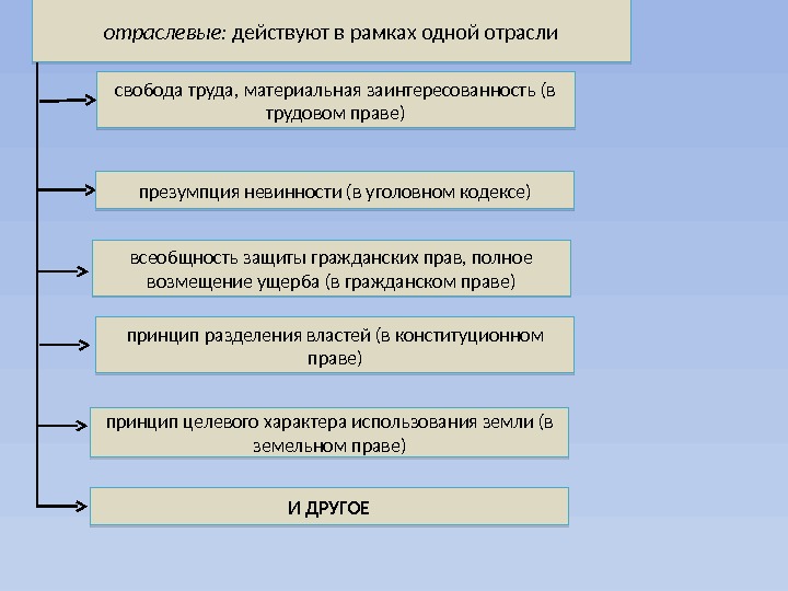 свобода труда, материальная заинтересованность (в трудовом праве) презумпция невинности (в уголовном кодексе) всеобщность защиты