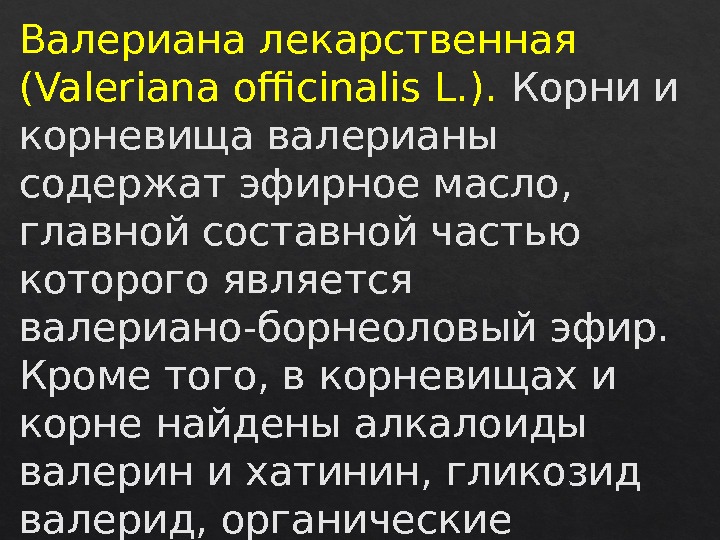 Валериана лекарственная (Valeriana officinalis L. ).  Корни и корневища валерианы содержат эфирное масло,