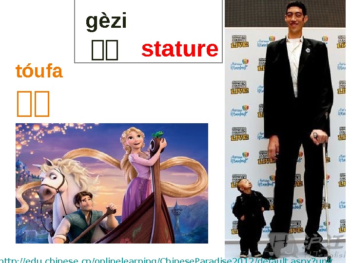  gèzi 现现  stature http: //edu. chinese. cn/onlinelearning/Chinese. Paradise 2012/default. aspx? unit =1&class=6