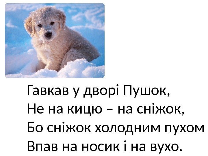 Гавкав у дворі Пушок, Не на кицю – на сніжок, Бо сніжок холодним пухом