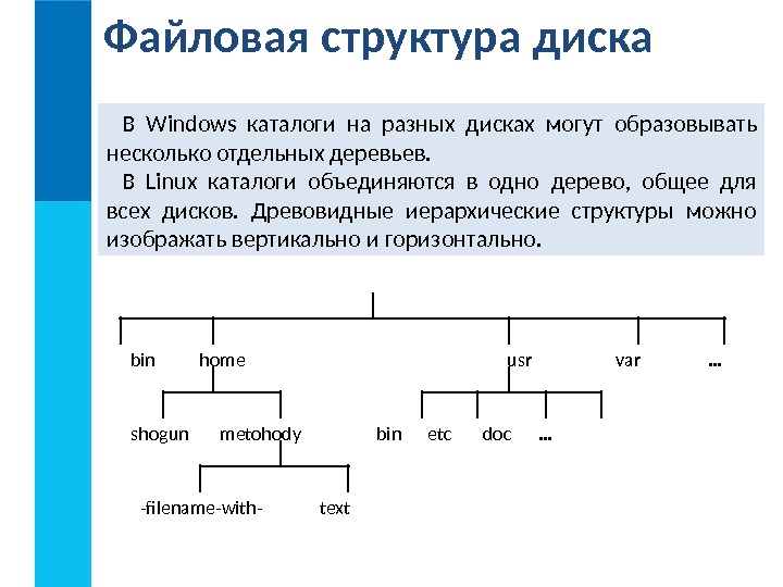 Файловая структура диска В Windows каталоги на разных дисках могут  образовывать несколько отдельных