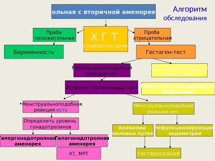 Алгоритм обследования. Больная с вторичной аменореей Х Г Т в сыворотке крови. Проба положительная