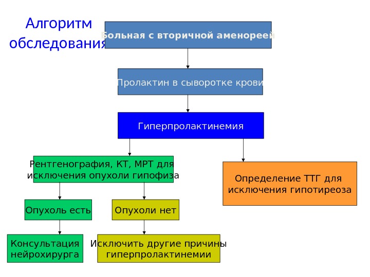 Алгоритм обследования Больная с вторичной аменореей Пролактин в сыворотке крови Гиперпролактинемия Определение ТТГ для