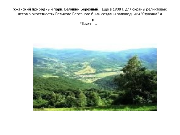 Ужанский природный парк. Великий Березный.  Еще в 1908 г. для охраны реликтовых лесов