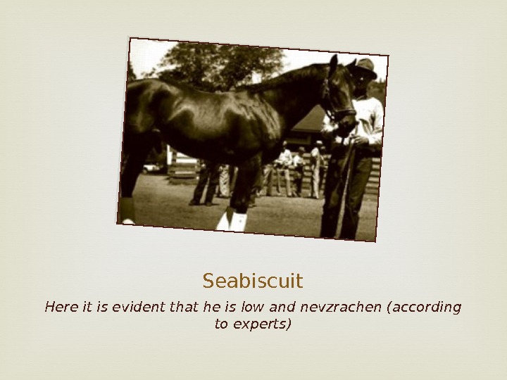 Seabiscuit Here it is evident that he is low and nevzrachen (according to experts)