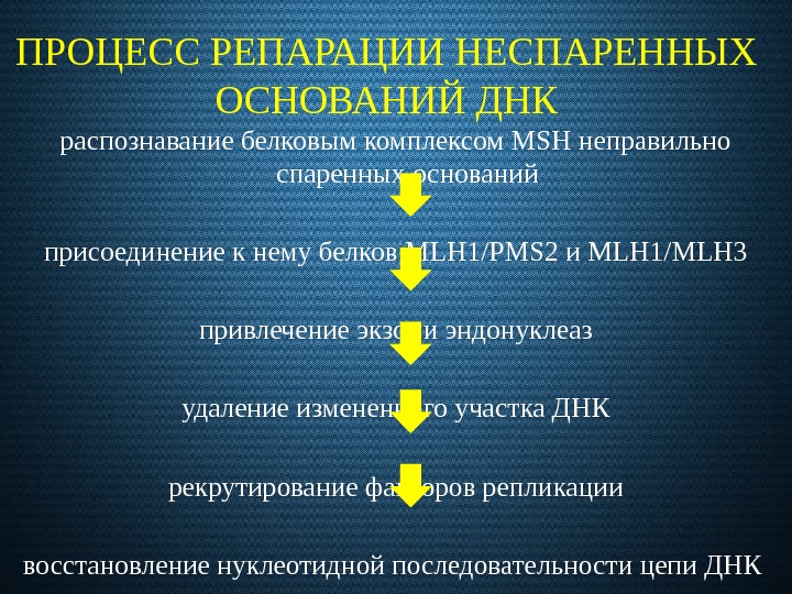 ПРОЦЕСС РЕПАРАЦИИ НЕСПАРЕННЫХ ОСНОВАНИЙ ДНК распознавание белковым комплексом MSH неправильно спаренных оснований присоединение к