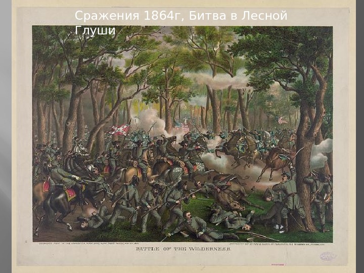   Сражения 1864 г, Битва в Лесной Глуши 