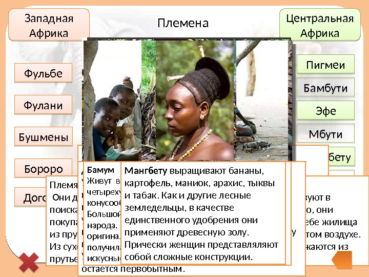 Западная Африка Центральная Африка Догоны Фульбе Фулани Бушмены Бороро Пигмеи Бамбути Эфе Мбути Мангбету