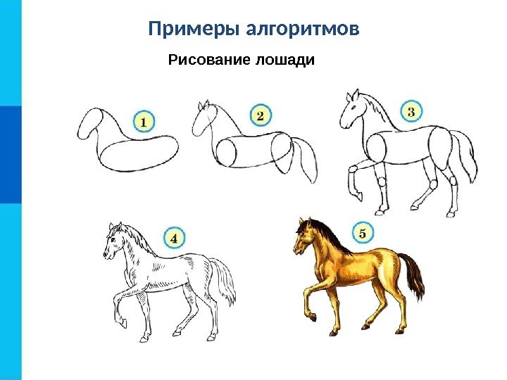 Примеры алгоритмов Рисование лошади 