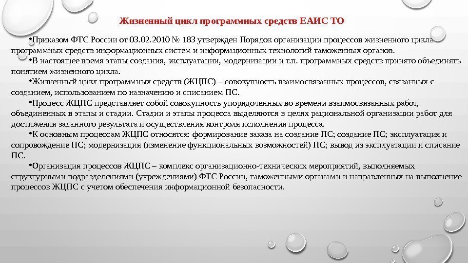 Жизненный цикл программных средств ЕАИС ТО • Приказом ФТС России от 03. 02. 2010