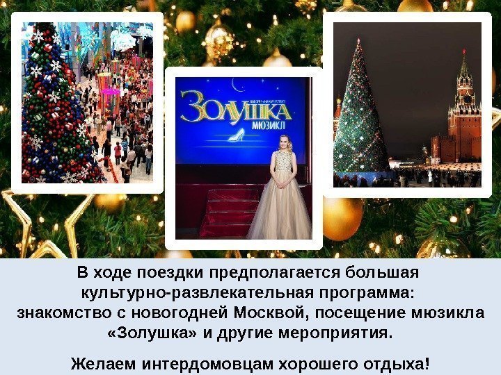 В ходе поездки предполагается большая культурно-развлекательная программа:  знакомство с новогодней Москвой, посещение мюзикла