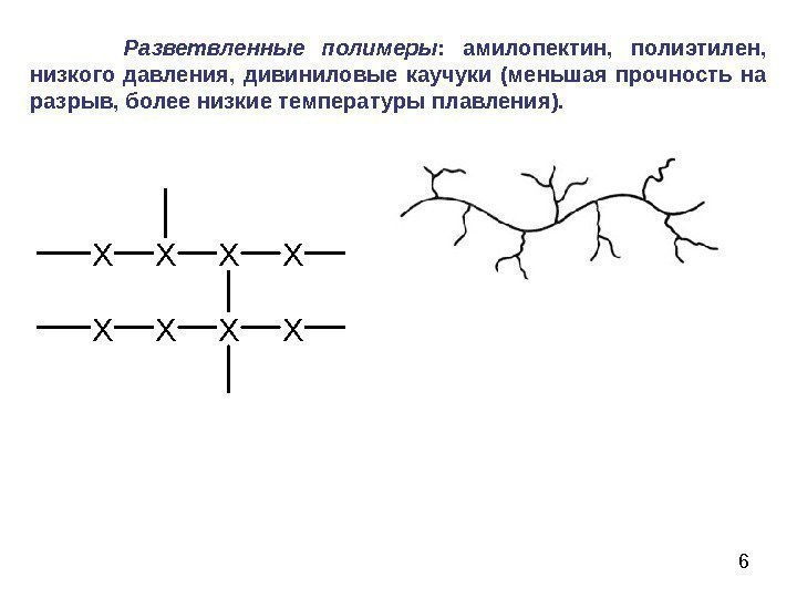 6   Разветвленные полимеры :  амилопектин,  полиэтилен,  низкого давления, 