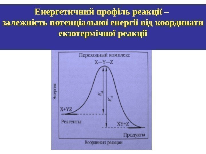 Енергетичний профіль реакції – залежність потенціальної енергії від координати екзотермічної реакції 