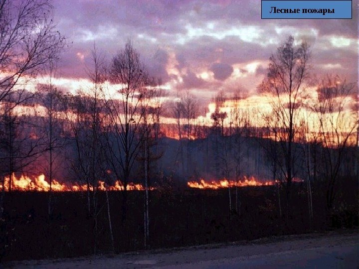 10 Лесные пожары 