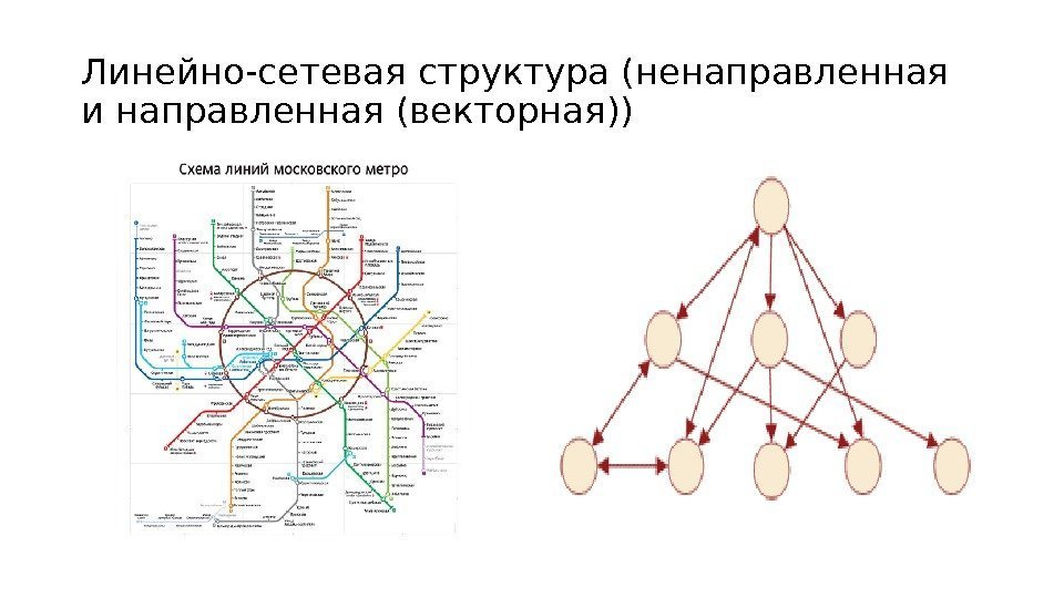 Линейно-сетевая структура (ненаправленная и направленная (векторная)) 