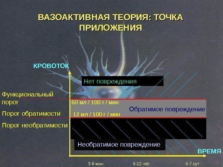 Функциональный порог Порог обратимости Порог необратимости 60  мл / 100 г / мин