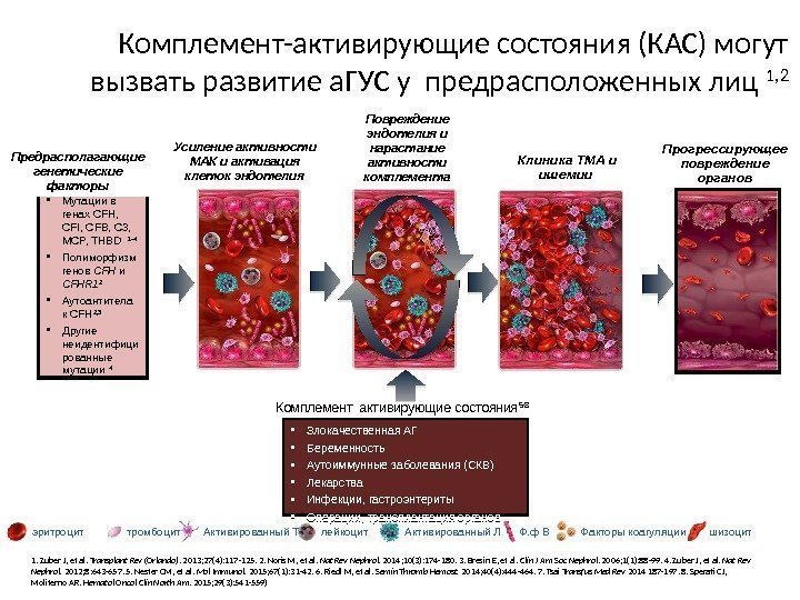 Прогрессирующее повреждение органов эритроцит тромбоцит Активированный Т лейкоцит Активированный Л Ф. ф В Факторы