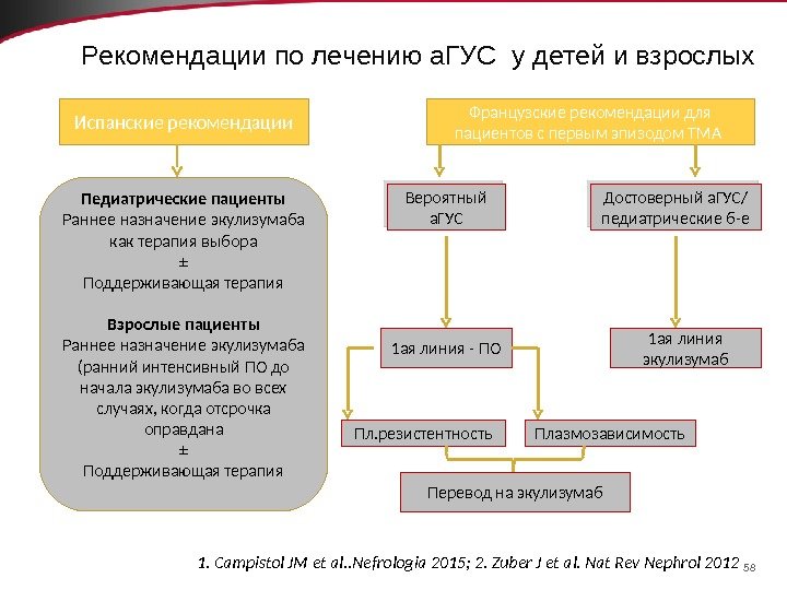 58 Рекомендации по лечению а. ГУС у детей и взрослых Испанские рекомендации Педиатрические пациенты