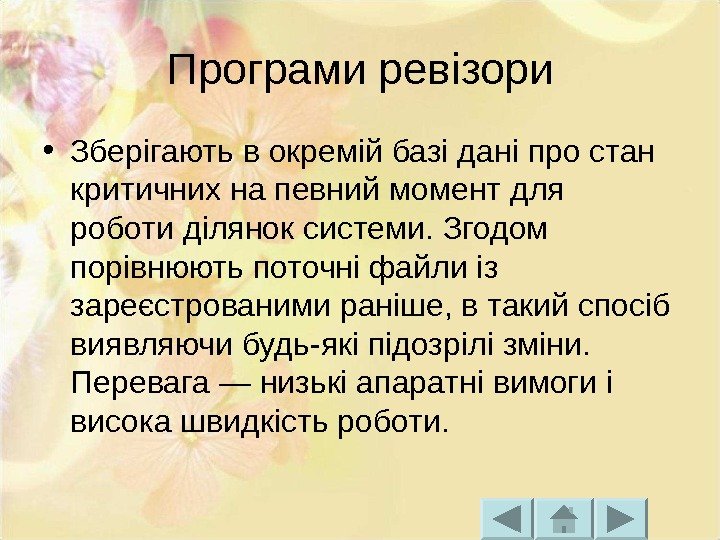 Програми ревізори • Зберігають в окремій базі дані про стан критичних на певний момент