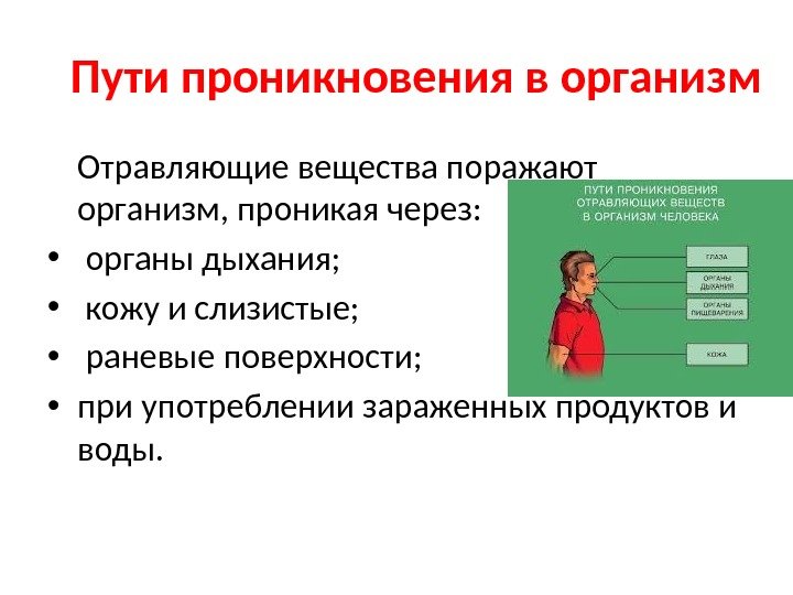 Пути проникновения в организм Отравляющие вещества поражают организм, проникая через:  •  органы