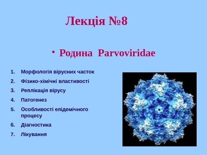   Лекція № 8 • Родина  Parvoviridae 1. Морфологія вірусних часток 2.