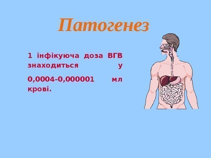   Патогенез 1 інфікуюча доза ВГВ знаходиться у 0, 0004 -0, 000001 мл