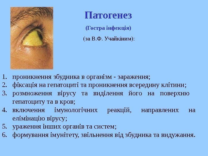   1. проникнення  збудника в організм - зараження ; 2. фіксація на