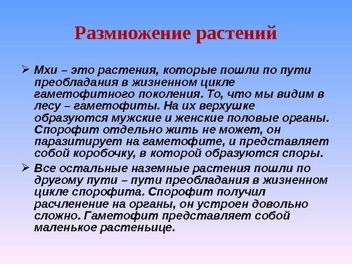  Мхи – это растения, которые пошли по пути преобладания в жизненном цикле гаметофитного