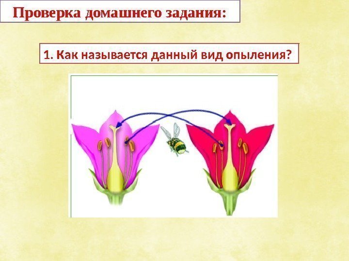 Проверка домашнего задания: 1. Как называется данный вид опыления?  