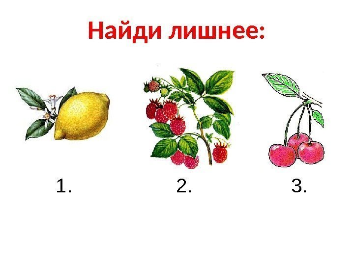 Найди лишнее:   1.    2.    3. 