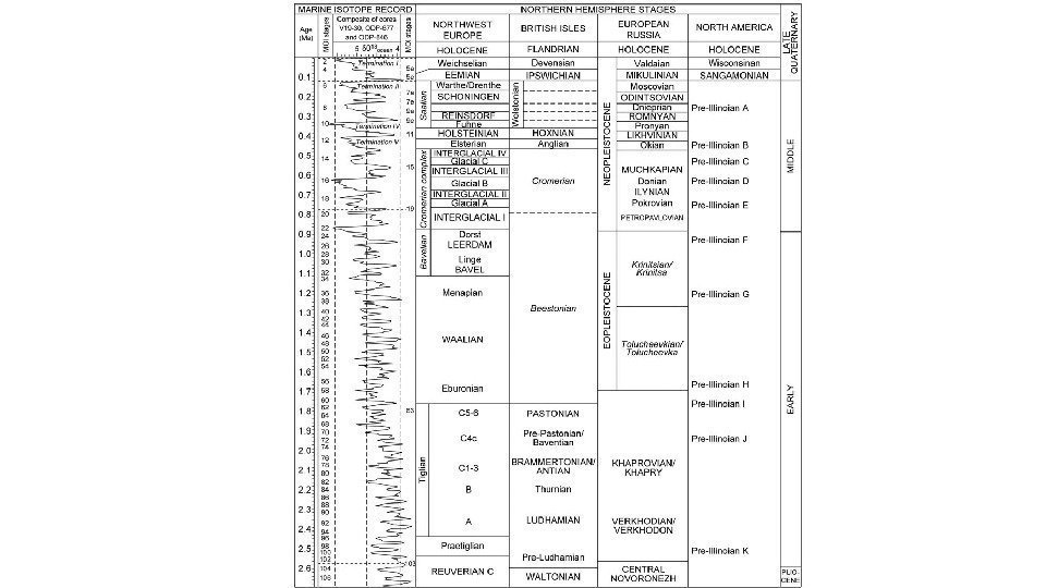 АВСТРАЛОПИТЕК ХАРАКТЕРНЫЕ ЧЕРТЫ РАЗВИТИЯ - рост 150 -155 см, вес до 70 кг; -