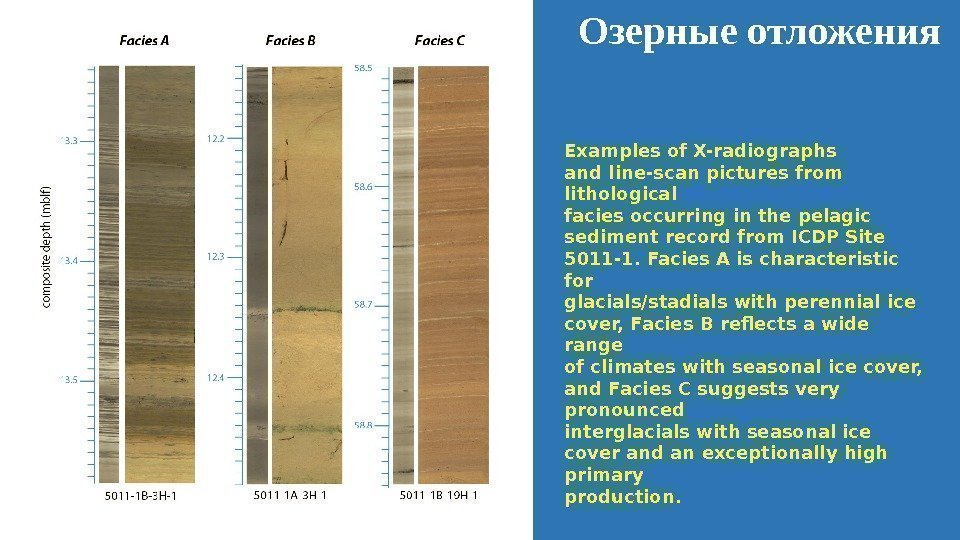 Озерные отложения Examples of X-radiographs and line-scan pictures from lithological facies occurring in the