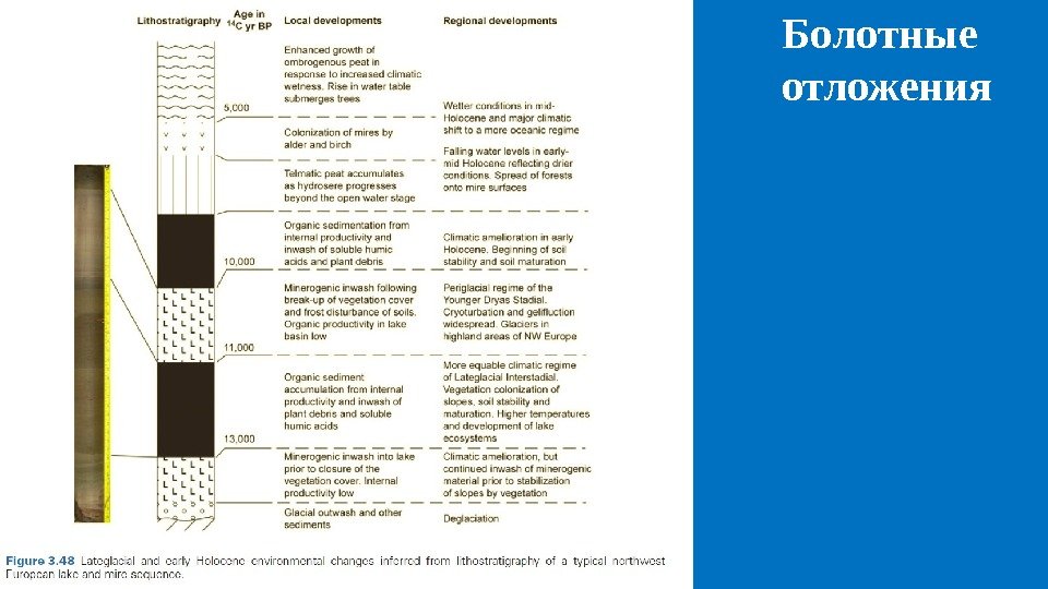 СОЦИАЛЬНЫЕ: - жили в родовой общине; -строил поселения; -изготовлял сложные орудия труда из кости