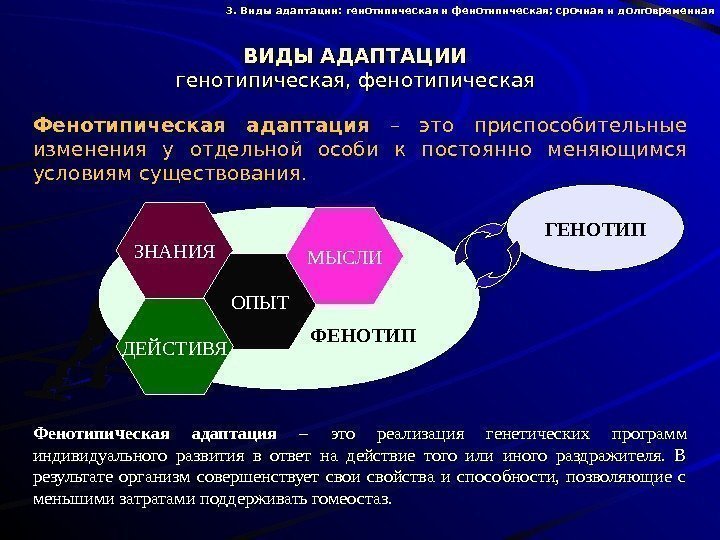   ГЕНОТИП ФЕНОТИПВИДЫ АДАПТАЦИИ генотипическая, фенотипическая Фенотипическая адаптация  – это приспособительные изменения