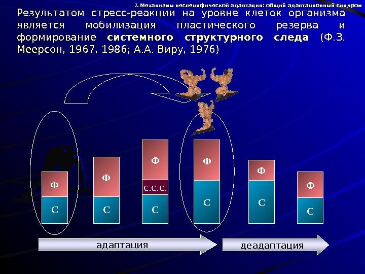   с. с. с. Результатом стресс-реакции на уровне клеток организма является мобилизация пластического