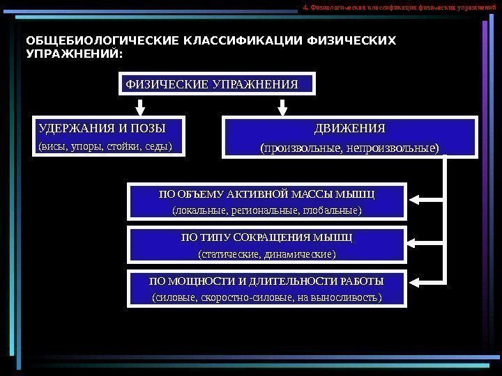   ОБЩЕБИОЛОГИЧЕСКИЕ КЛАССИФИКАЦИИ ФИЗИЧЕСКИХ УПРАЖНЕНИЙ: ФИЗИЧЕСКИЕ УПРАЖНЕНИЯ УДЕРЖАНИЯ И ПОЗЫ (висы, упоры, стойки,