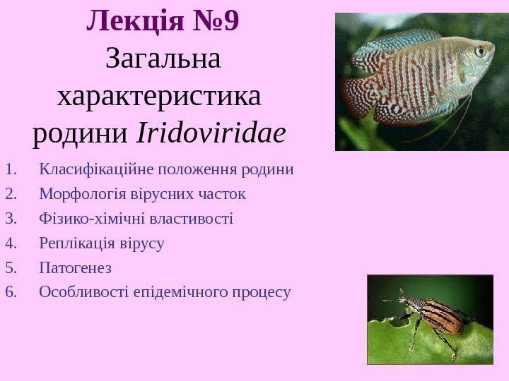   Лекція № 9 Загальна характеристика родини  Iridoviridae  1. Класифікаційне положення