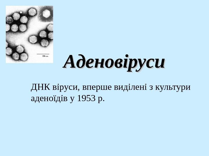   Аденовіруси ДНК віруси, вперше виділені з культури аденоїдів у 1953 р. 