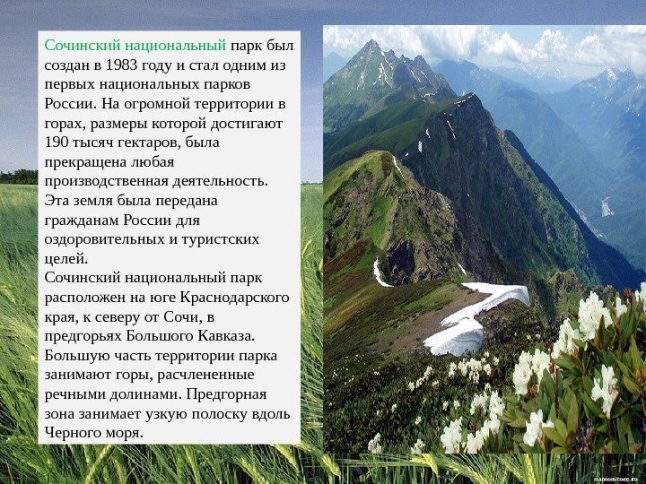 Сочинский национальный парк был создан в 1983 году и стал одним из первых национальных
