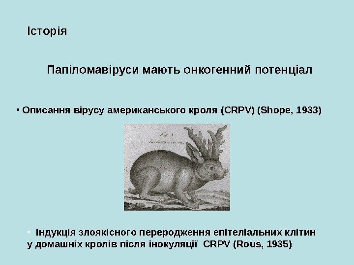   Папіломавіруси мають онкогенний потенціалІсторія •  Описання вірусу американського кроля (CRPV) (Shope,