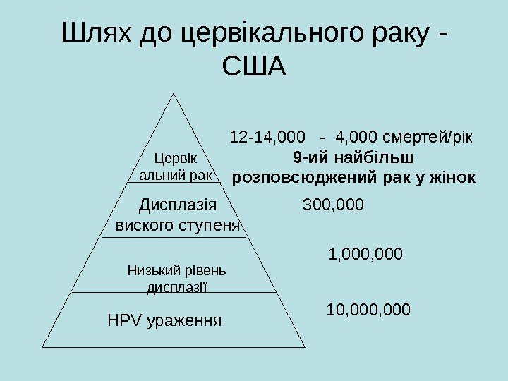   Шлях до цервікального раку - США HPV ураження. Низький рівень дисплазіїДисплазія виского