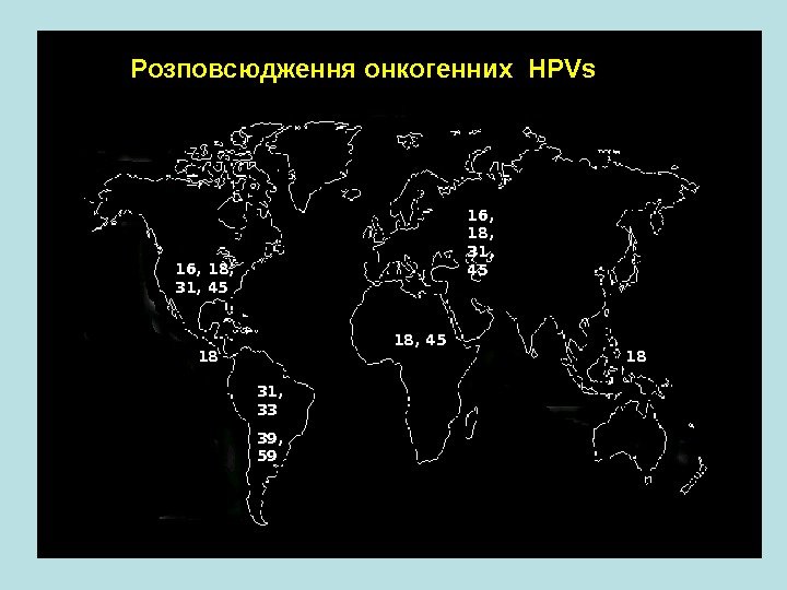   Розповсюдження онкогенних  HPVs 31,  33 39,  5916, 18, 