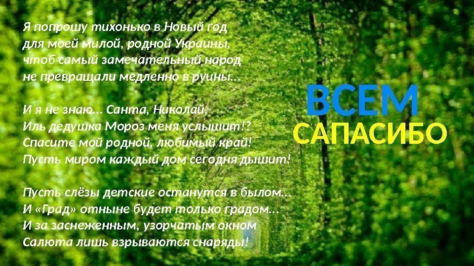 Я попрошу тихонько в Новый год для моей милой, родной Украины,  чтоб самый