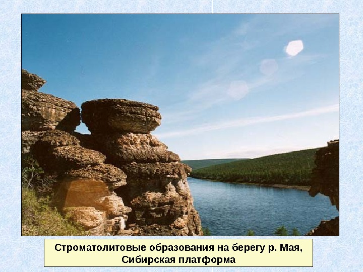 Строматолитовые образования на берегу р. Мая,  Сибирская платформа 