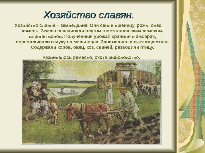   Хозяйство славян – земледелие. Они сеяли пшеницу, рожь, овёс,  ячмень. Землю